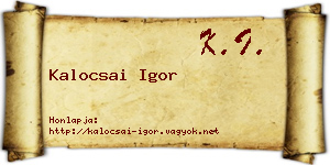 Kalocsai Igor névjegykártya